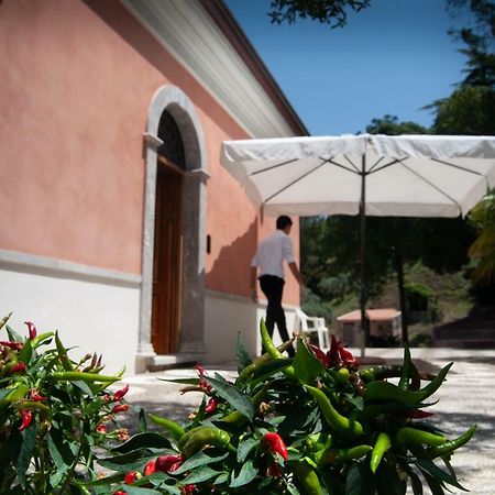 Villa Tecla Capri Leone Exteriér fotografie