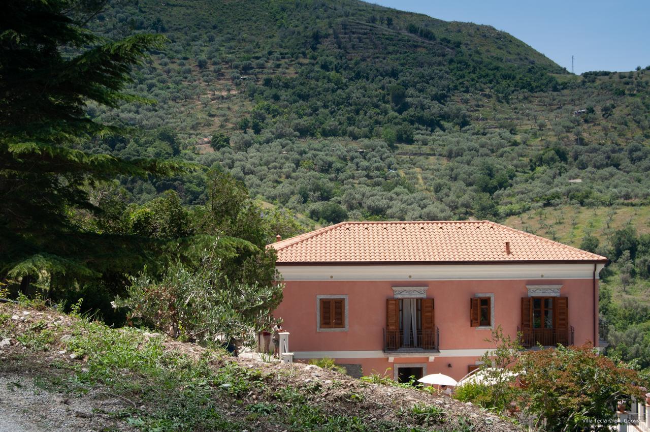 Villa Tecla Capri Leone Exteriér fotografie